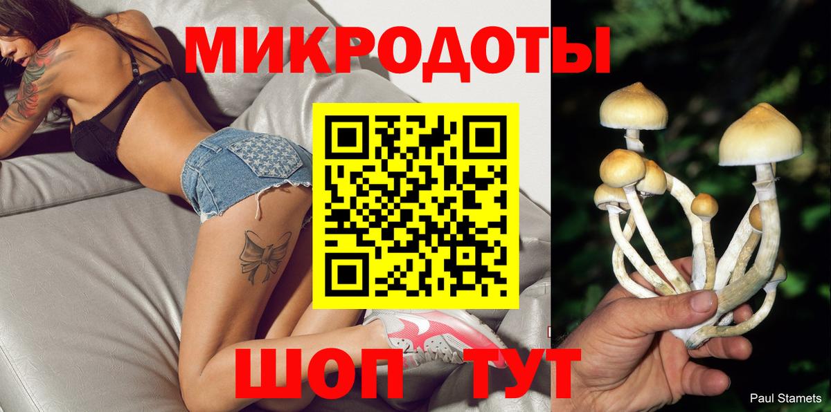 Галлюциногенные грибы Cubensis Нижневартовск