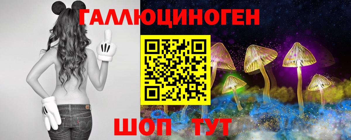 дарнет шоп  Галлюциногенные грибы Psilocybe  Вход с VPN  Нижневартовск  Псилоцибиновые грибы GOLDEN TEACHER 